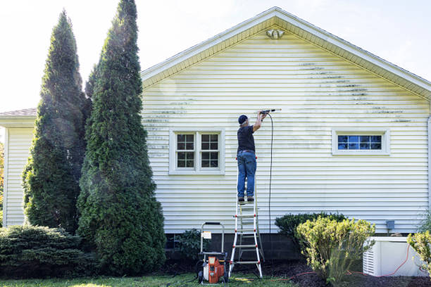 Best Pressure Washing Siding  in Newton, IA